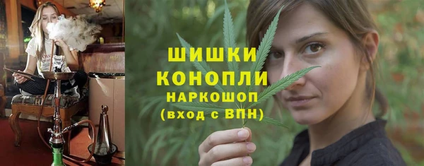 шишки Баксан
