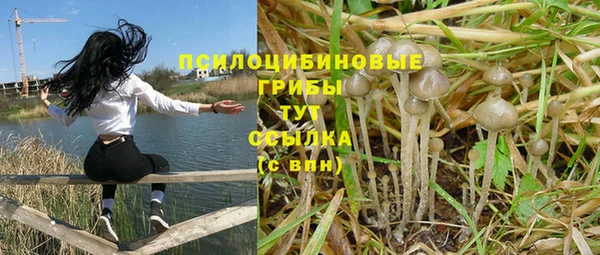 дмт Балахна