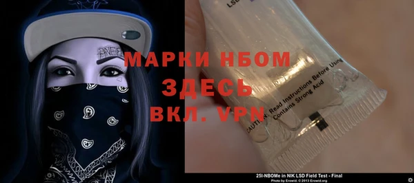 шишки Баксан