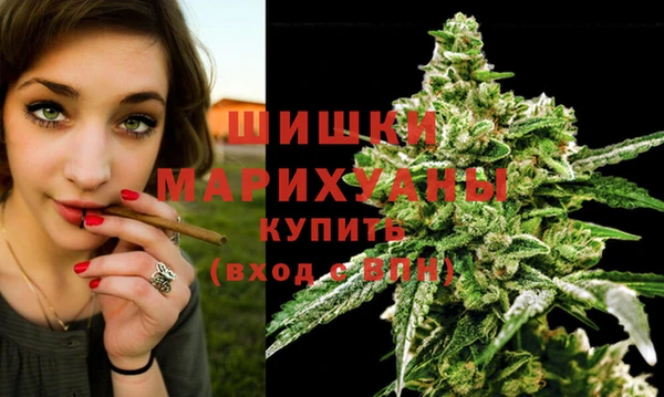 шишки Баксан