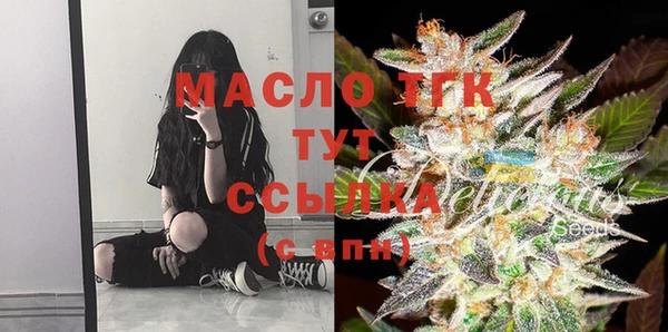 шишки Баксан
