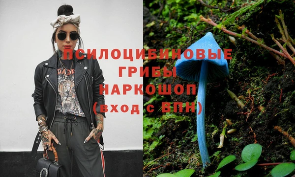 дмт Балахна